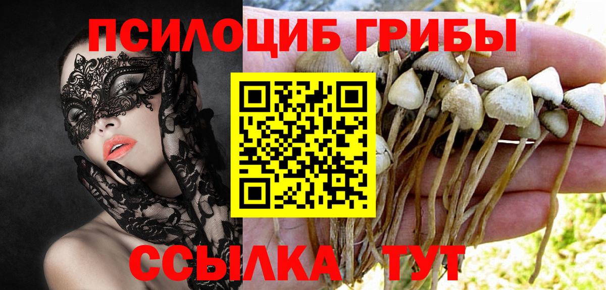 Псилоцибиновые грибы Psilocybine cubensis Реутов