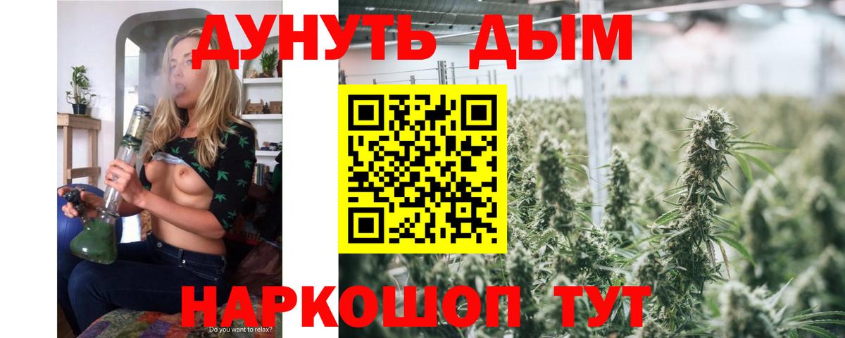 Реутов  Бошки марихуана планчик  Каннабис Bruce Banner  Вход с VPN 